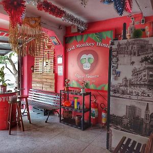 Red Monkey Hostel: Barra Funda